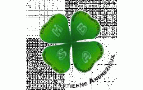Saint-Etienne Andrézieux HB
