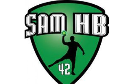 Saint Etienne Masculin Handball