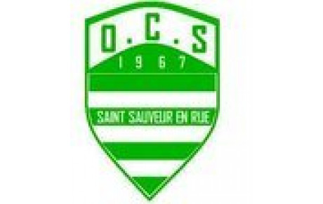 Saint-Sauveur en Rue